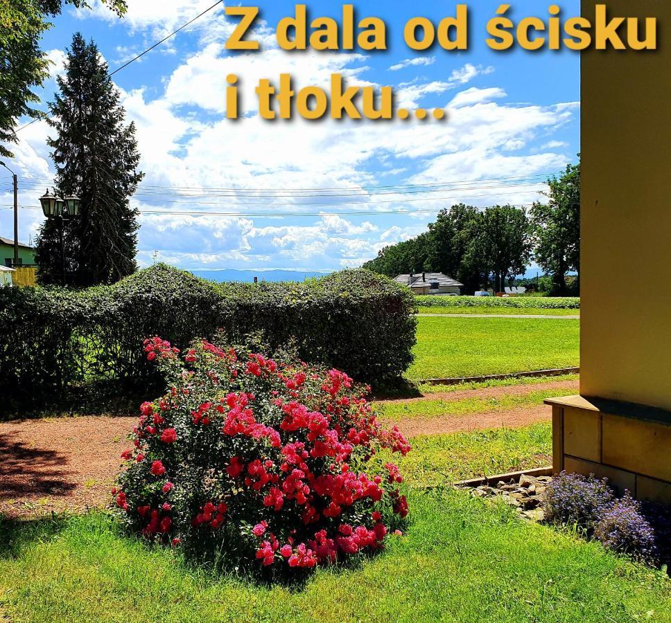 Palac Bazantarnia Pszczyna Kültér fotó